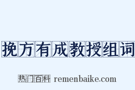 挽方有成教授组词是什么意思的图片